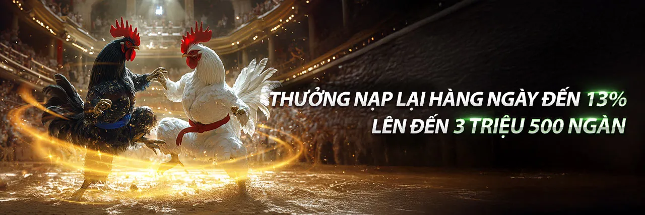 Giao diện cá cược thể thao Kèo Nhà Cái