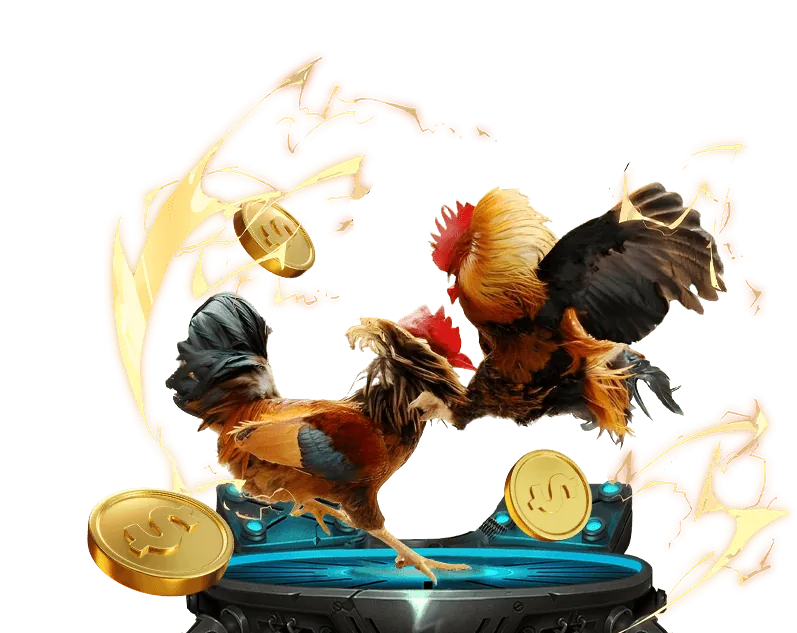 Cá Cược Thể Thao Kèo Nhà Cái 2026